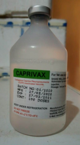 WhatsApp Image 2020-07-03 at 11.25.40