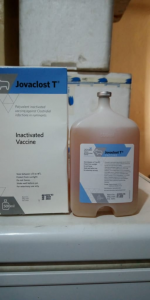 WhatsApp Image 2020-07-03 at 11.25.42