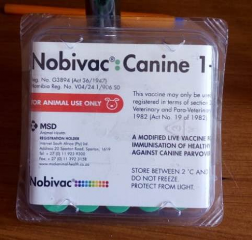 WhatsApp Image 2020-07-03 at 17.04.00